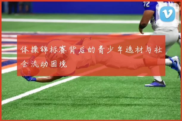 体操锦标赛背后的青少年选材与社会流动困境