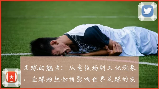 足球的魅力：从竞技场到文化现象，全球粉丝如何影响世界足球的发展