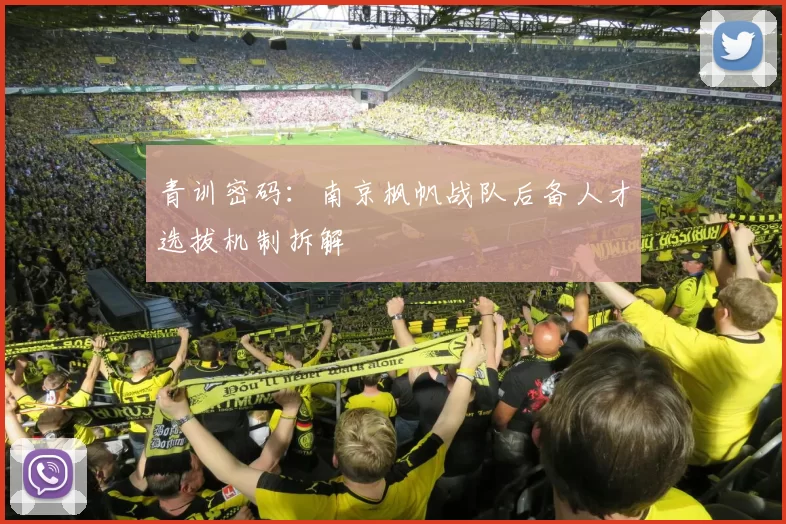 青训密码：南京枫帆战队后备人才选拔机制拆解
