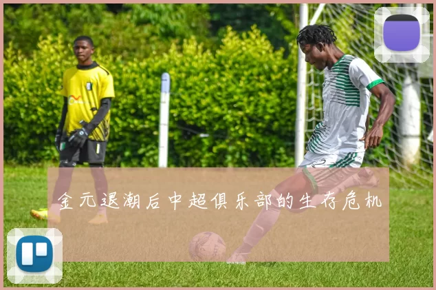 金元退潮后中超俱乐部的生存危机